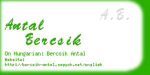 antal bercsik business card